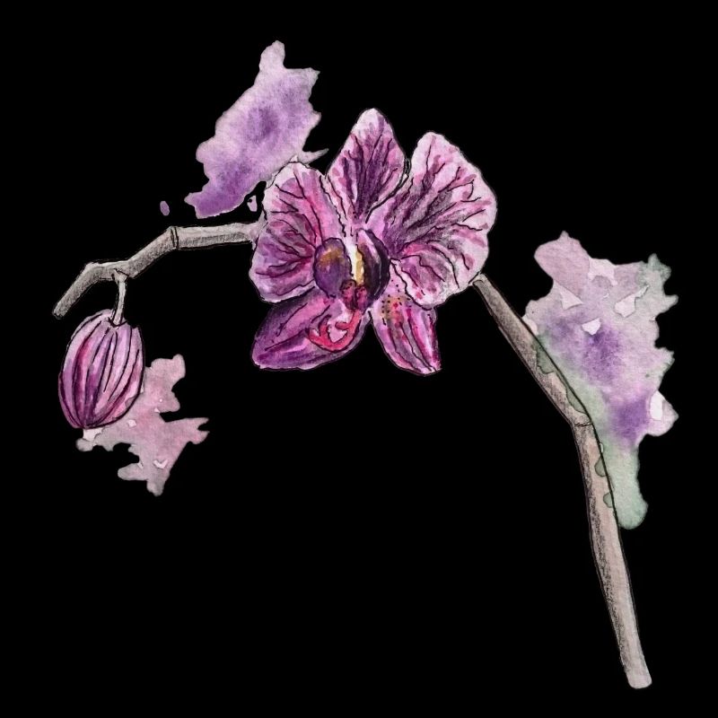 Orchidee - Pflanze - Blume