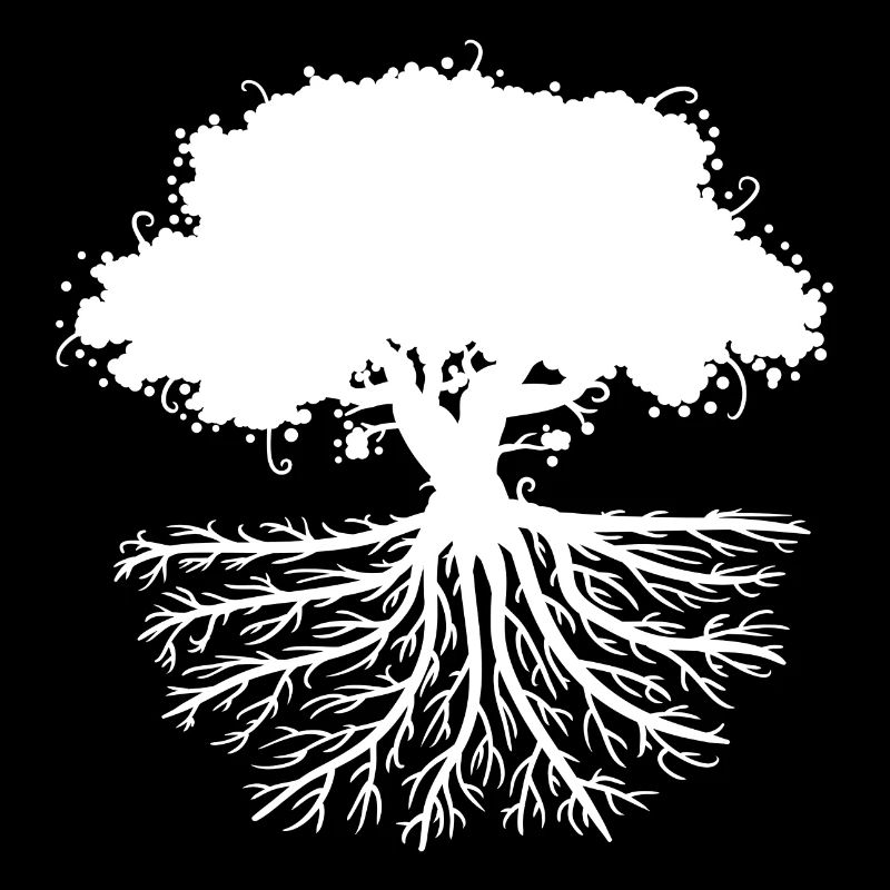 les racines des arbres blancs