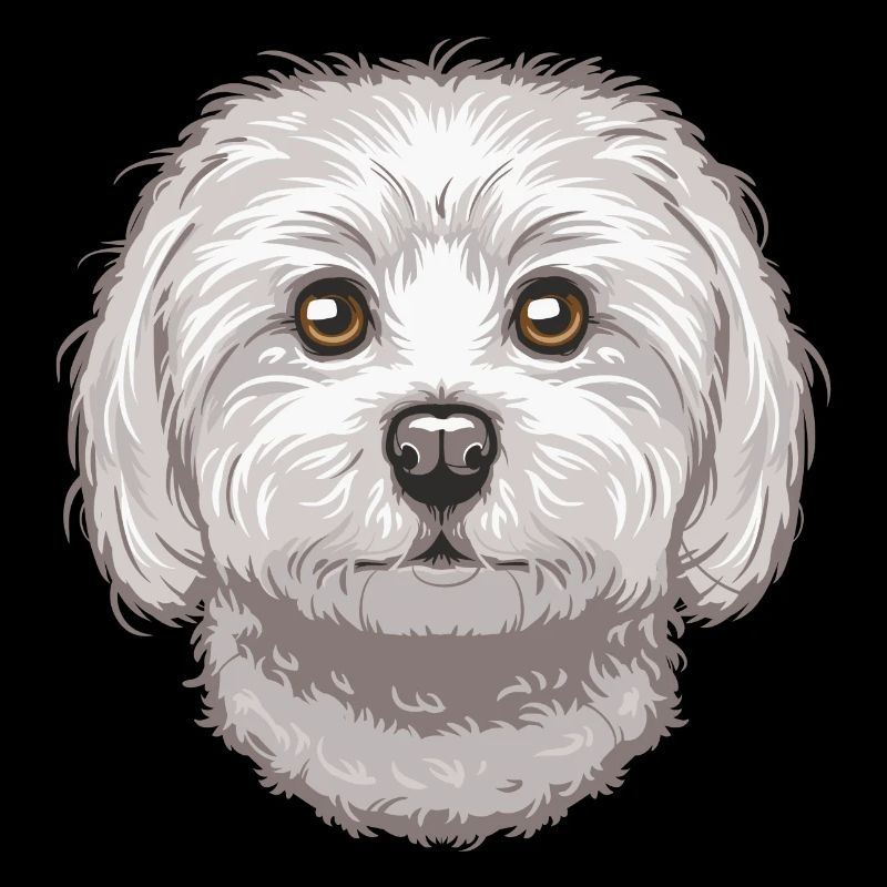 Maltese