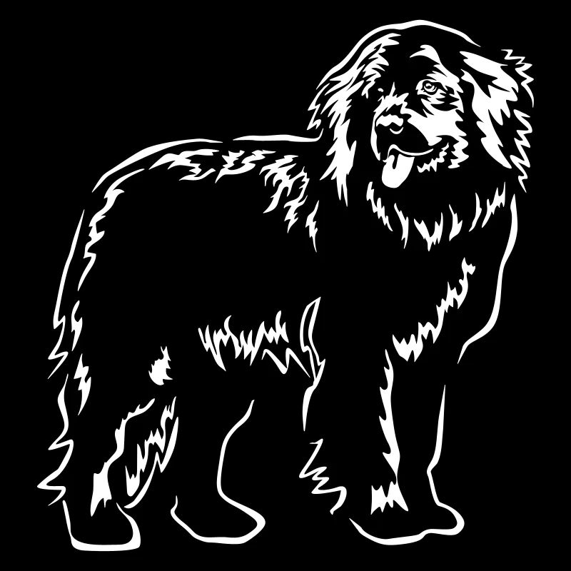 Terre-Neuve « Black Edition »