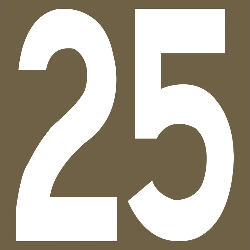 Débuts amicaux 25