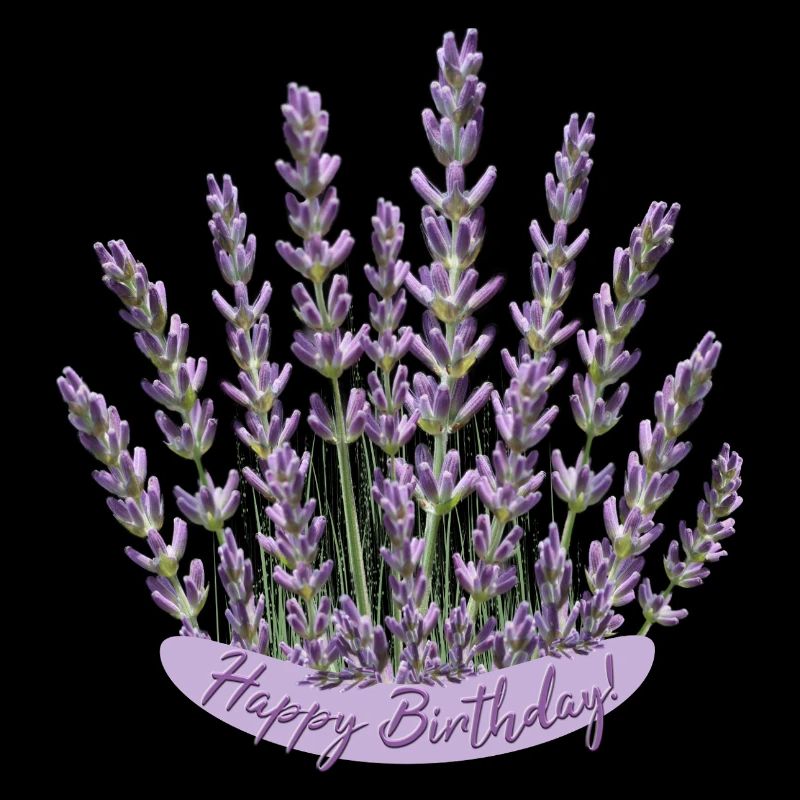 Lavendel Geburtstagsgruß lila Blumen Geburtstag