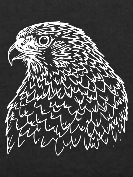 Falcon Head
