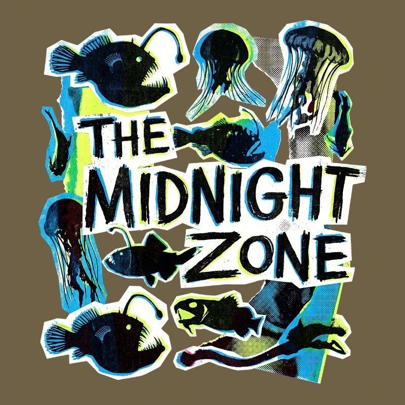 The Midnight Plastic Zone
