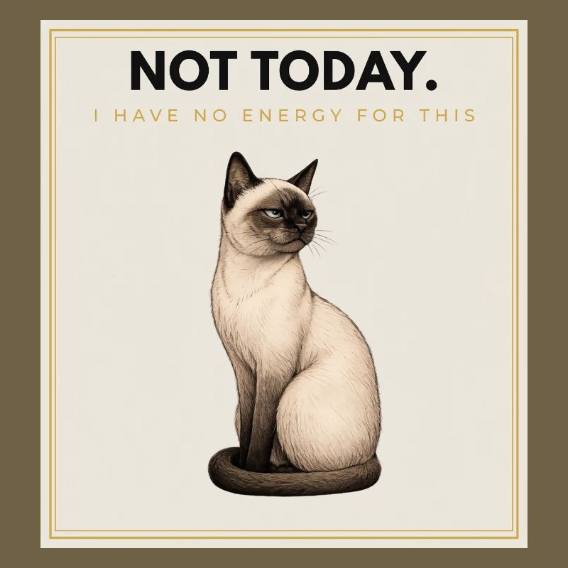 PAS AUJOURD’HUI. Noble Cat Introverti Conception du Mème