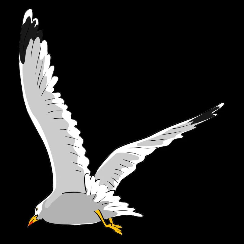 Mouette en vol