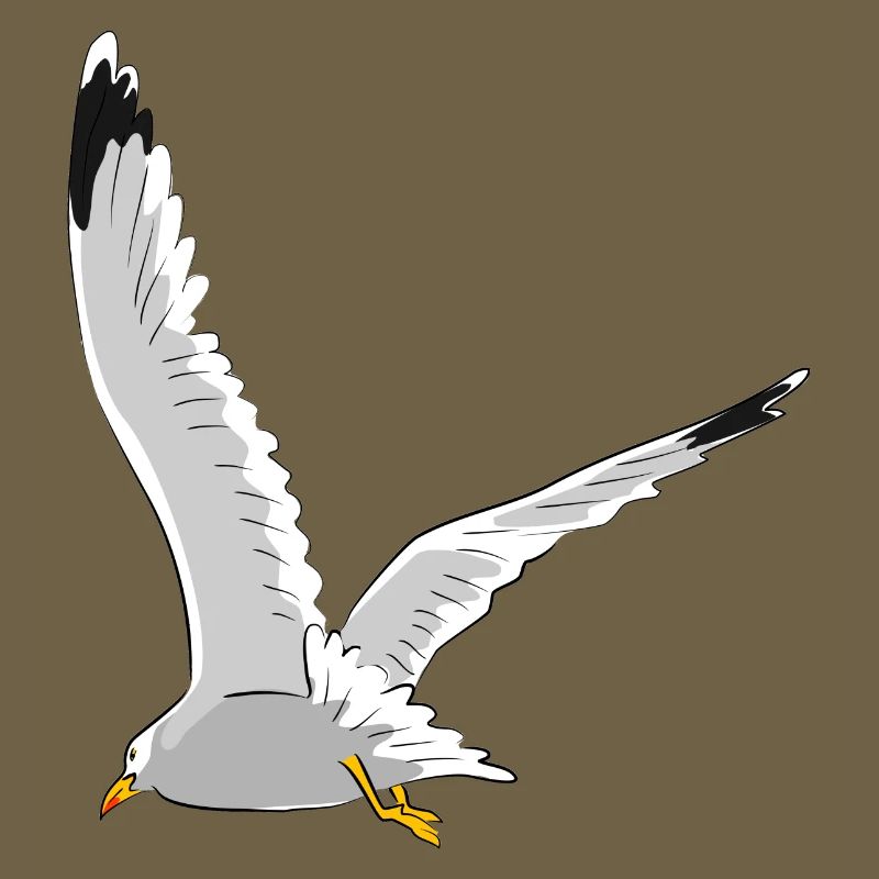 Möwe im Flug