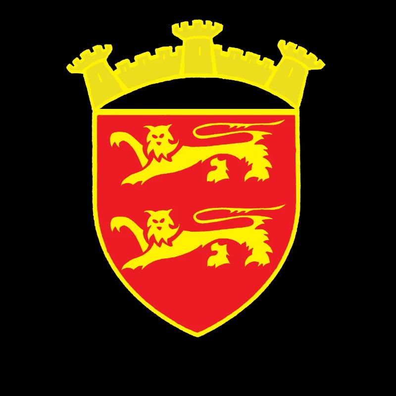 BLASON ROUGE LION TOUR OR COPYRIGHT RUNEMBERG