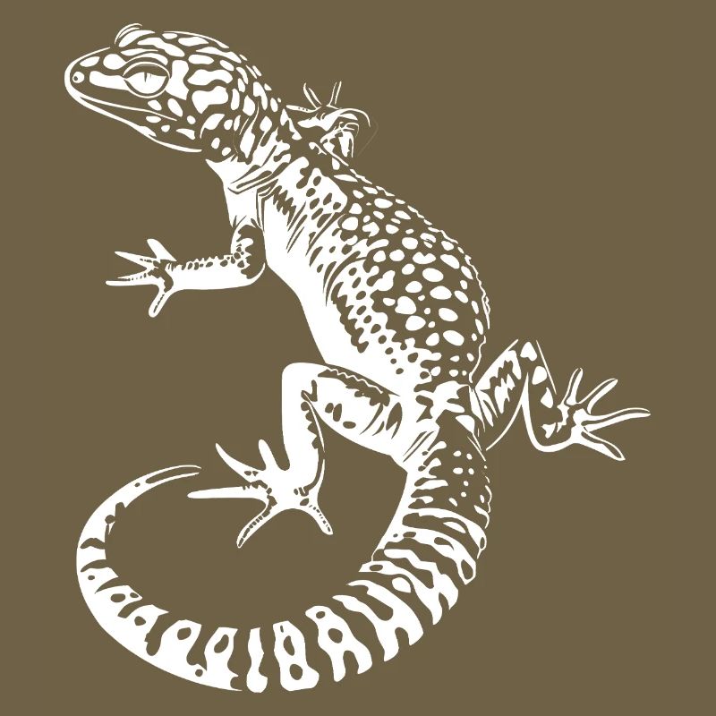Gecko Leopardgecko Kontrast