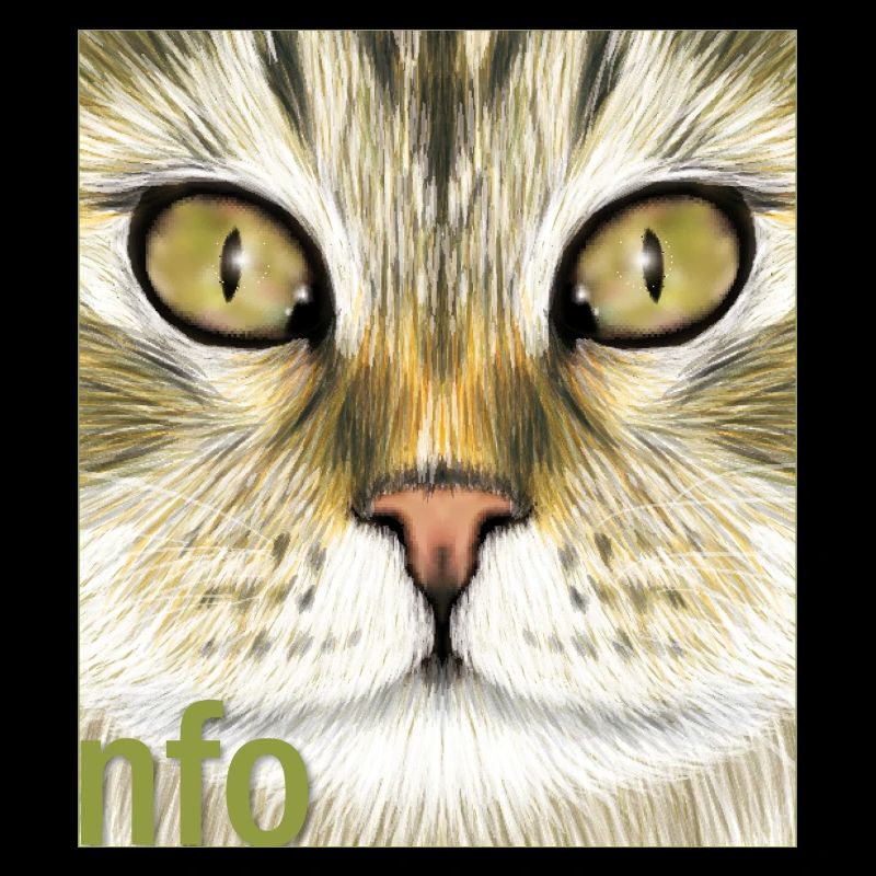 Chat des forêts norvégiennes