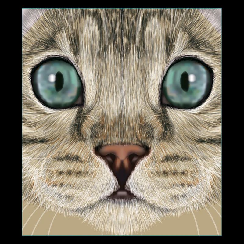 Chat léopard
