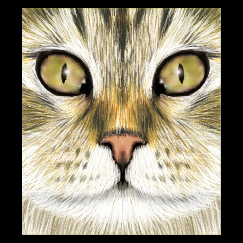 Chat des forêts norvégiennes