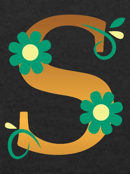 S
