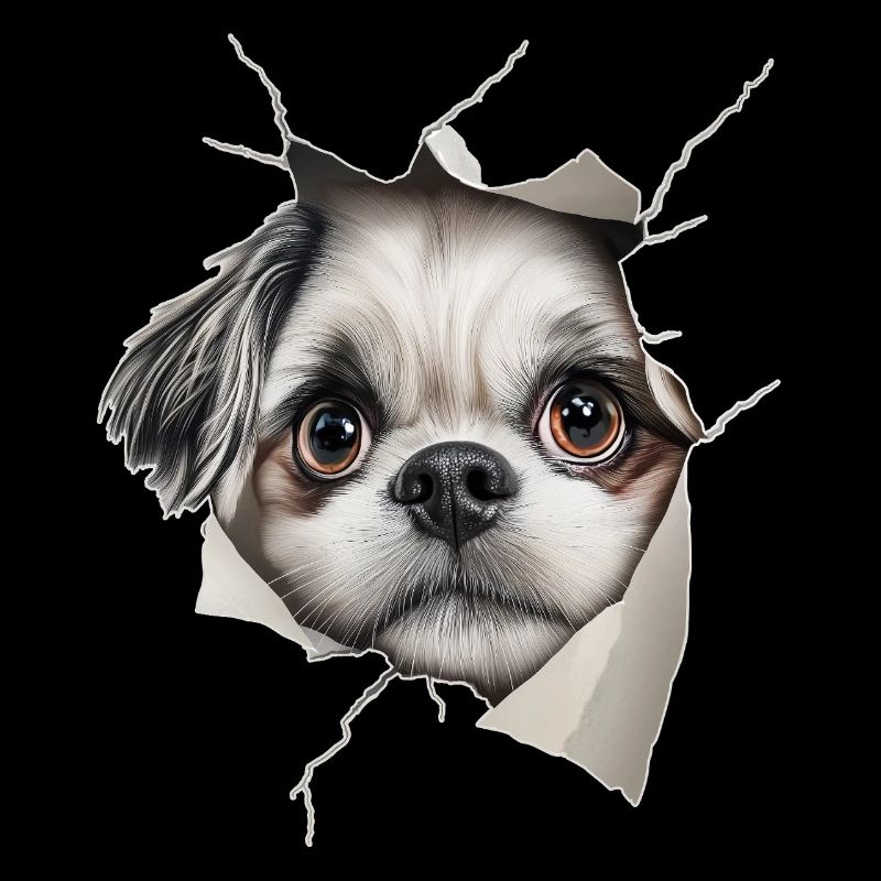 Shih Tzu