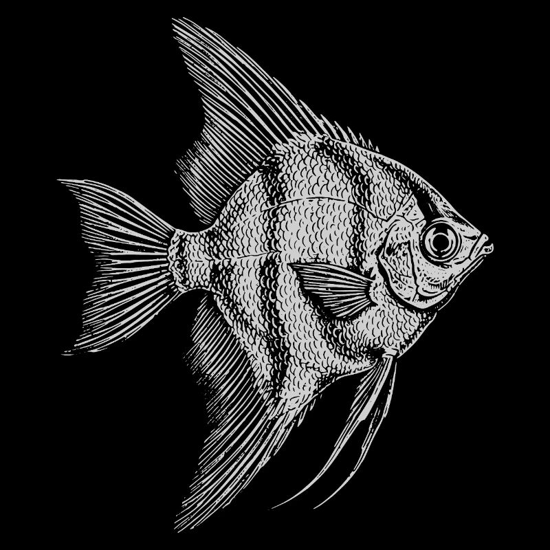 Angelfish-Silhouetten-Skizze