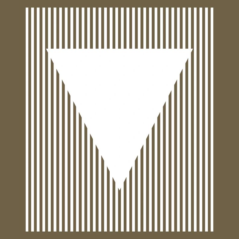 Conception géométrique des triangles et des lignes