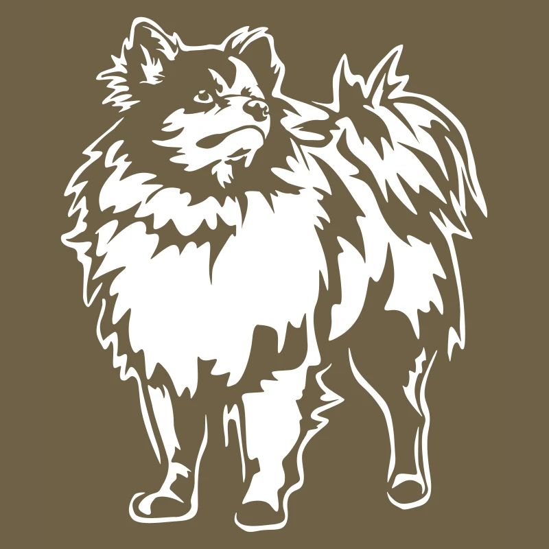 Spitz "Black Edition"