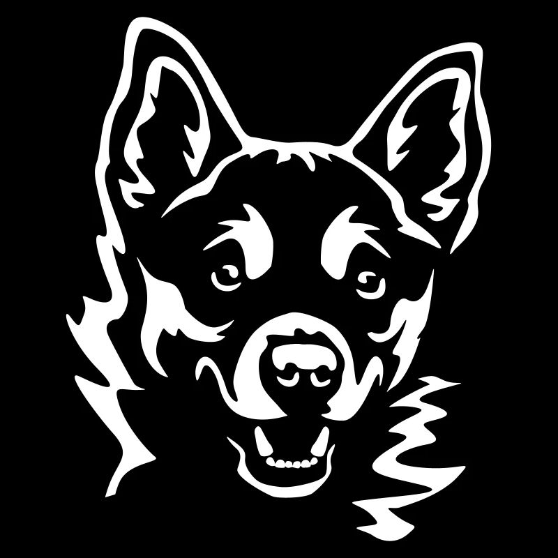 Lundehund norvégien « Black Edition »