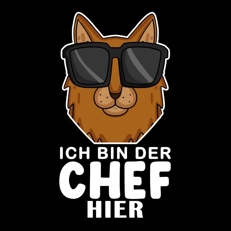 coole Katze - Somali Katze Spruch