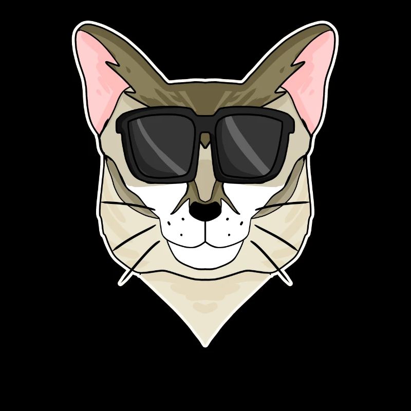 Singapura Katze mit Brille - coole Katze
