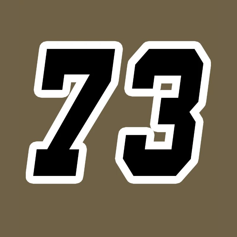 Nummer dreiundsiebzig 73