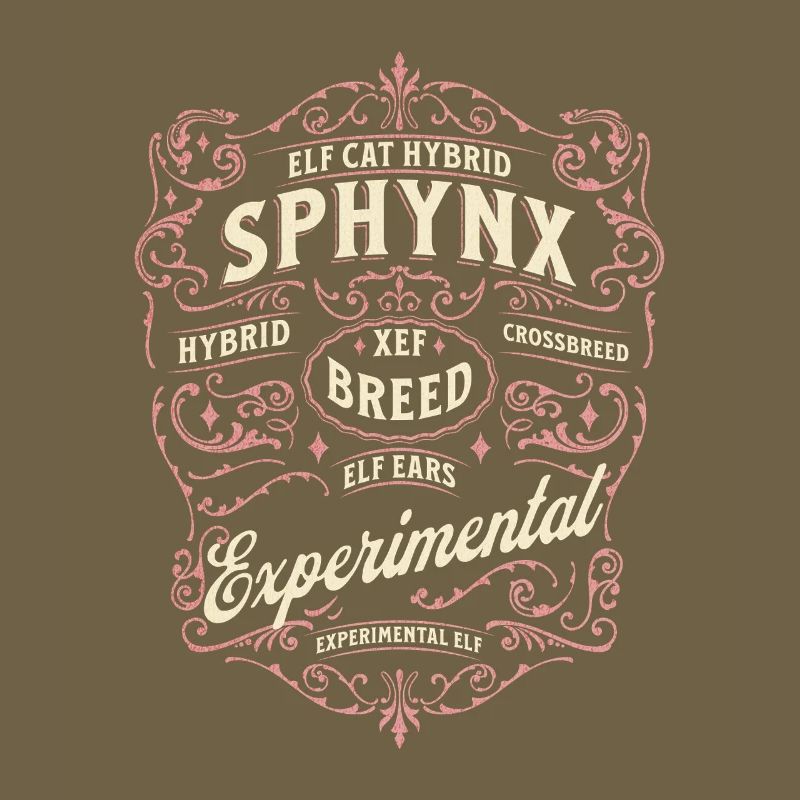 Elfe Sphynx Chat