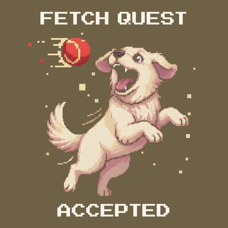 Fetch Quest Accepted | Dog playing ball