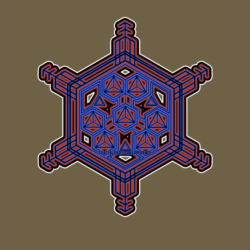 Expérience d’évolution fractale Motif hexagone étoile