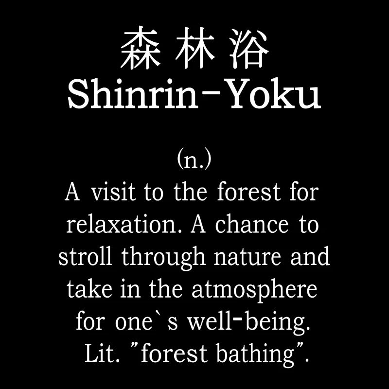 Shinrin-Yoku Forest Bathing Forest Nature Trees Gift