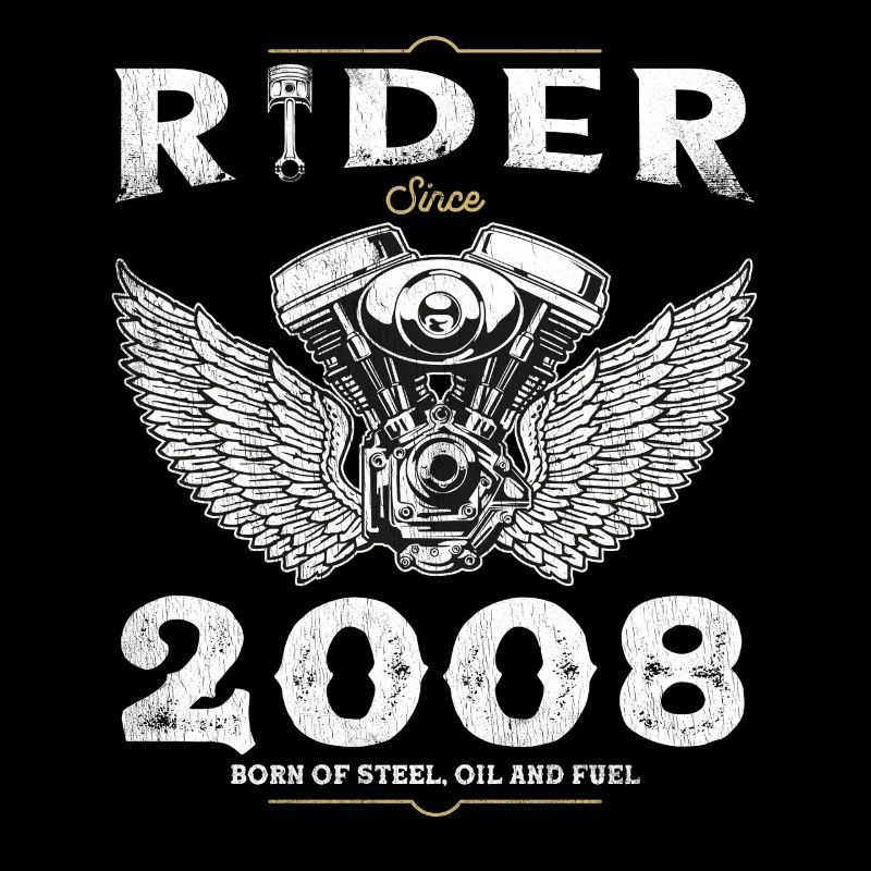 Fahrer seit 2008 - 17 Jahre Speed & Passion