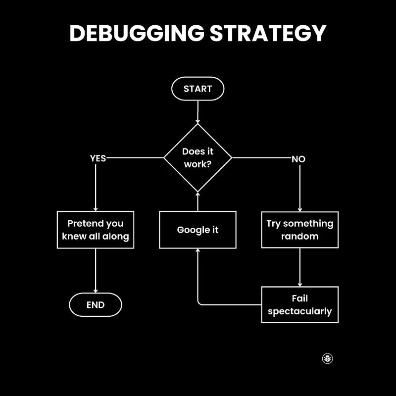 Debugging-Strategie-Flussdiagramm – Funktioniert es Geschenk