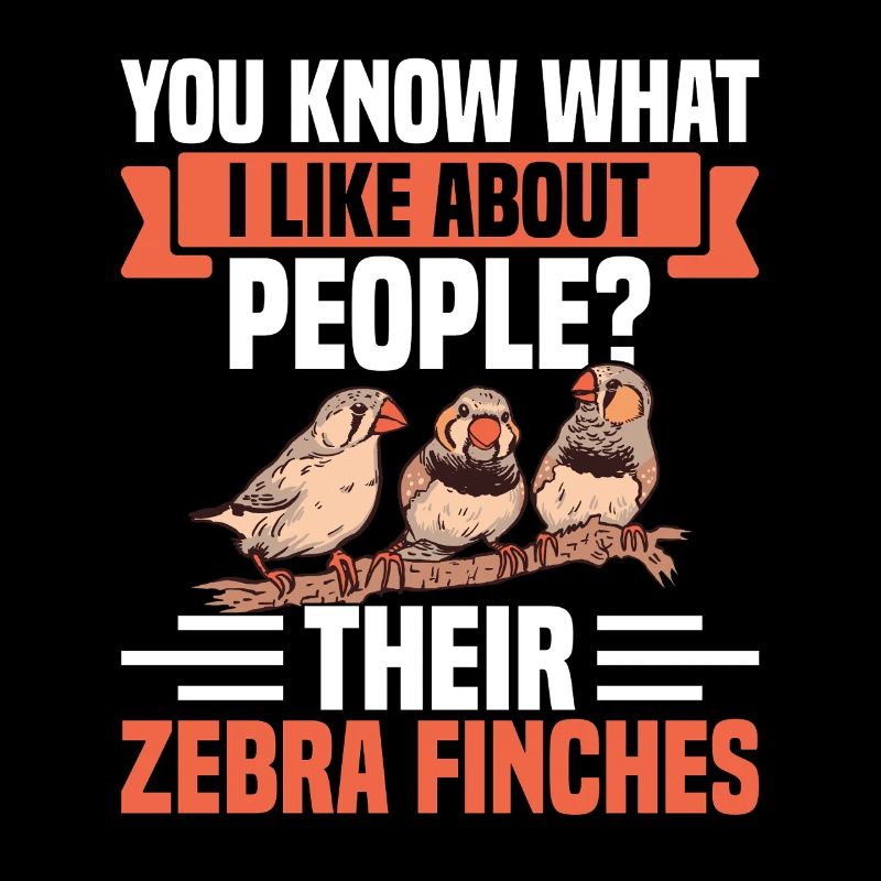 Zebra Finch Tools Live Birds Enclosure Food Zebra