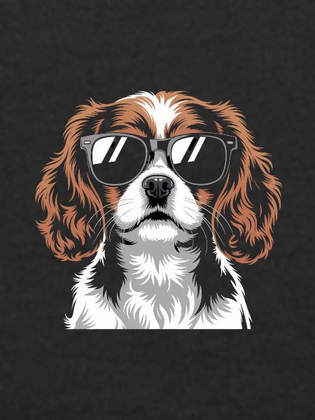 King Charles Spaniel