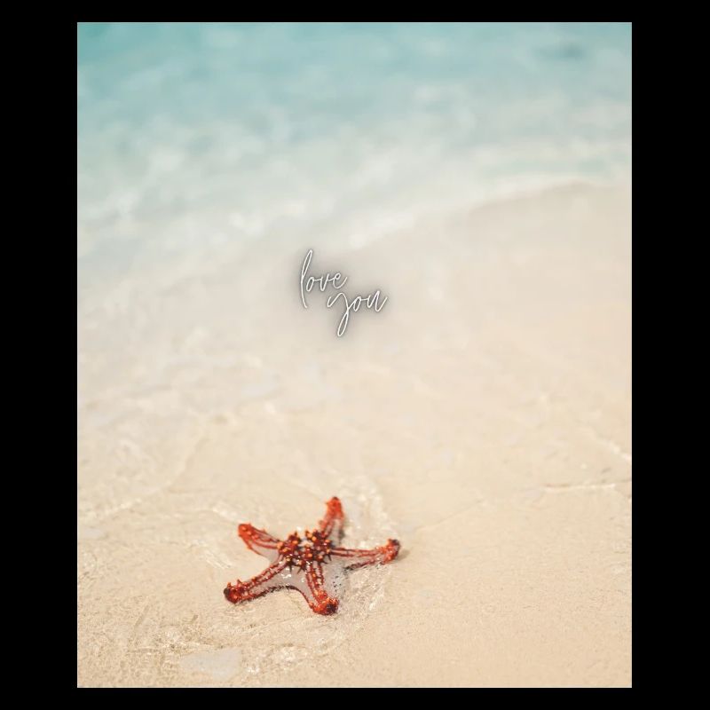 Love on the beach and starfish