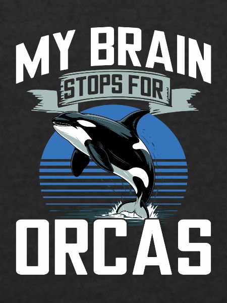 Funny Orca