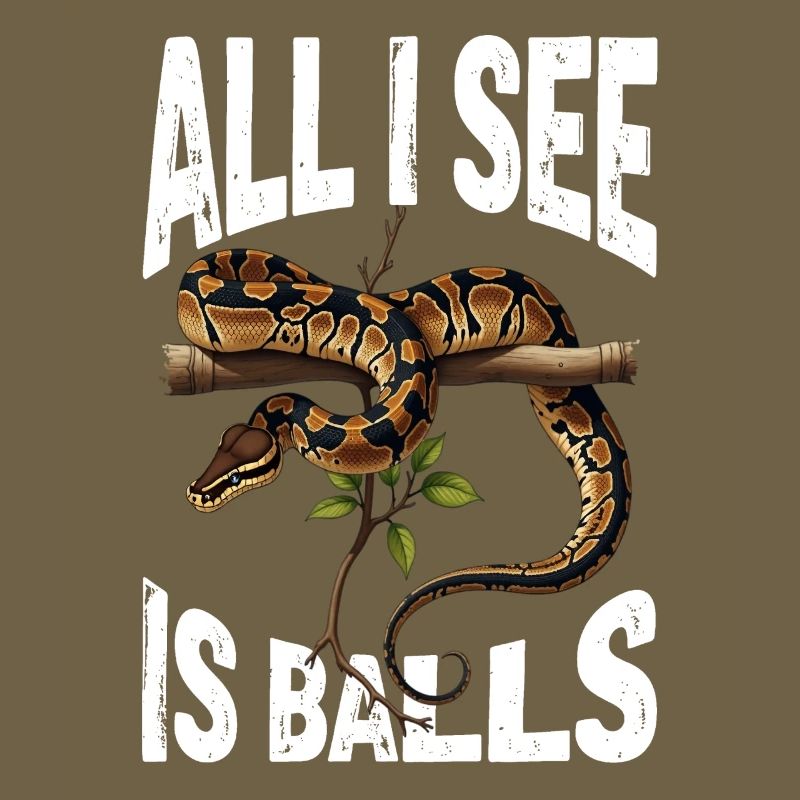 Königspython Schlangen Liebhaber Terrarium Python