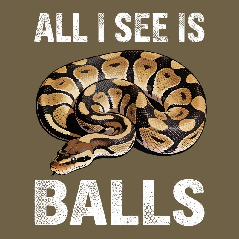 Königspython Schlangen Liebhaber Terrarium Python