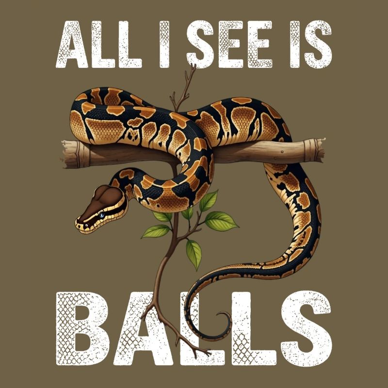 Königspython Schlangen Liebhaber Terrarium Python