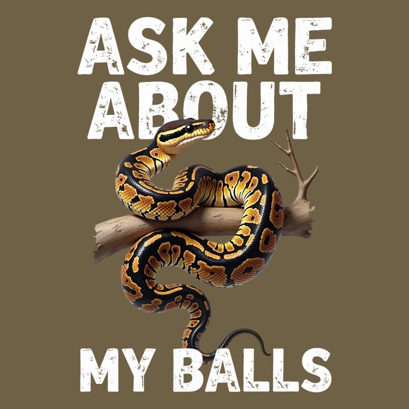 Königspython Schlangen Liebhaber Terrarium Python