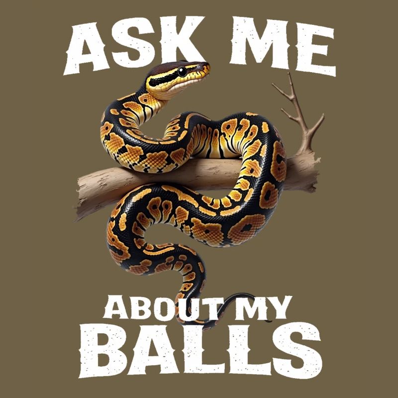 Königspython Schlangen Liebhaber Terrarium Python