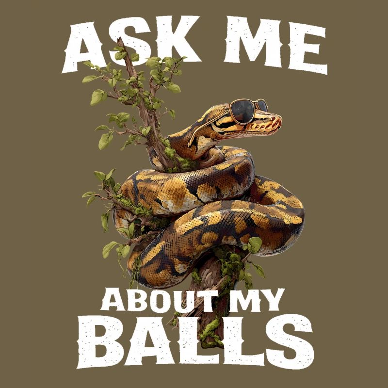 Königspython Schlangen Liebhaber Terrarium Python