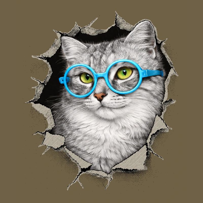 Chat mignon – Arts techniques mixtes Blue Glasses