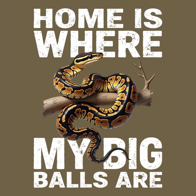 Königspython Schlangen Liebhaber Terrarium Python