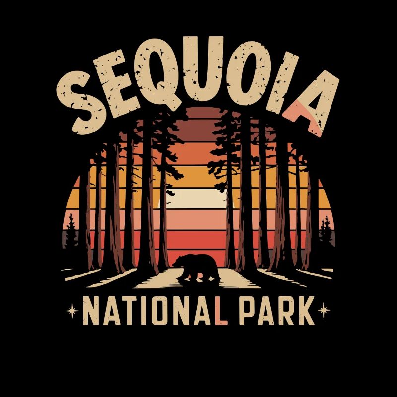 Sequoia National Park Sunset Bear Forest