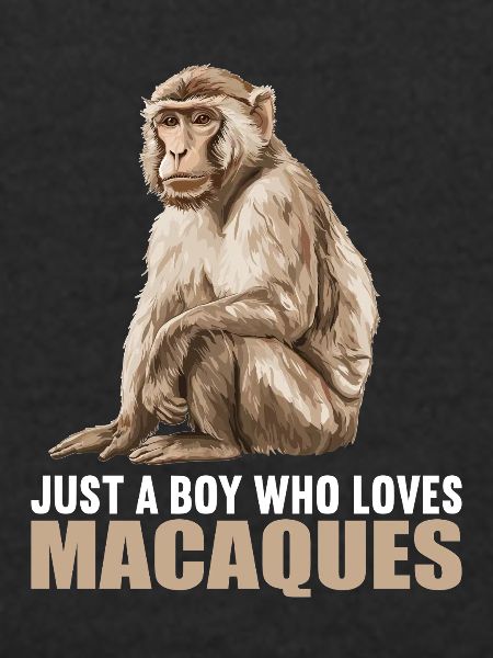 Macaque Macaque