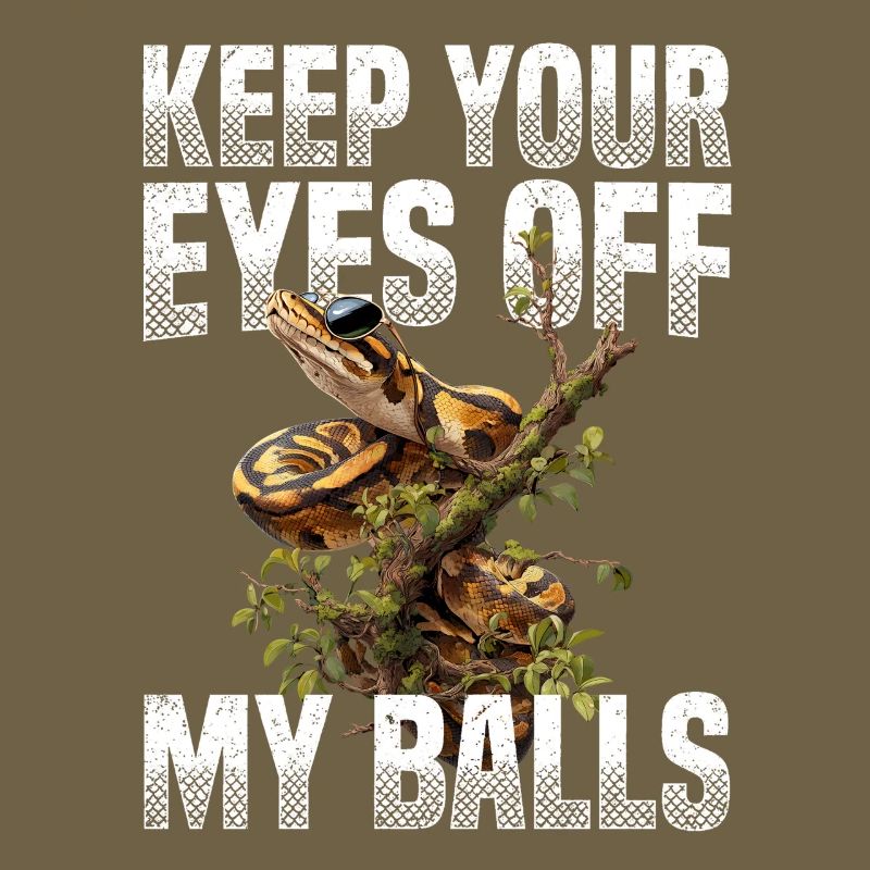 Königspython Schlangen Liebhaber Terrarium Python