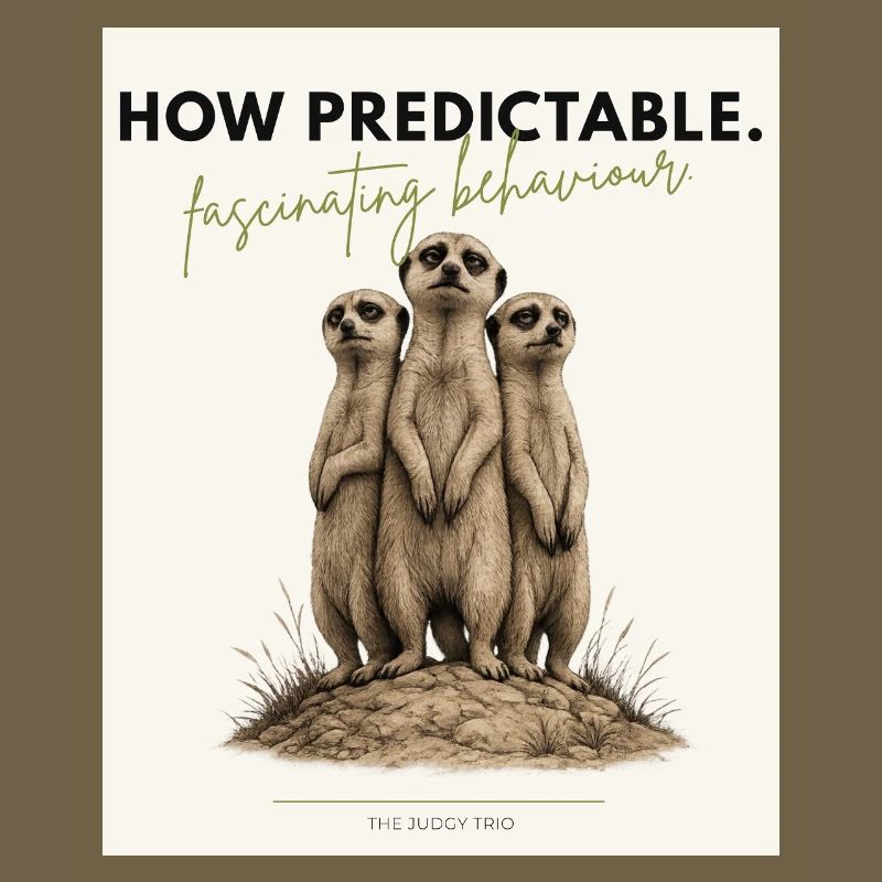 Quel trio de suricates prévisible