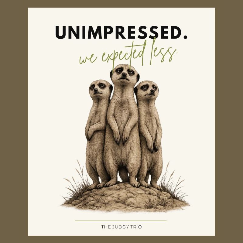 Trio de suricates peu impressionné