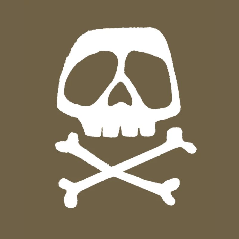 Skull Cross Pattern