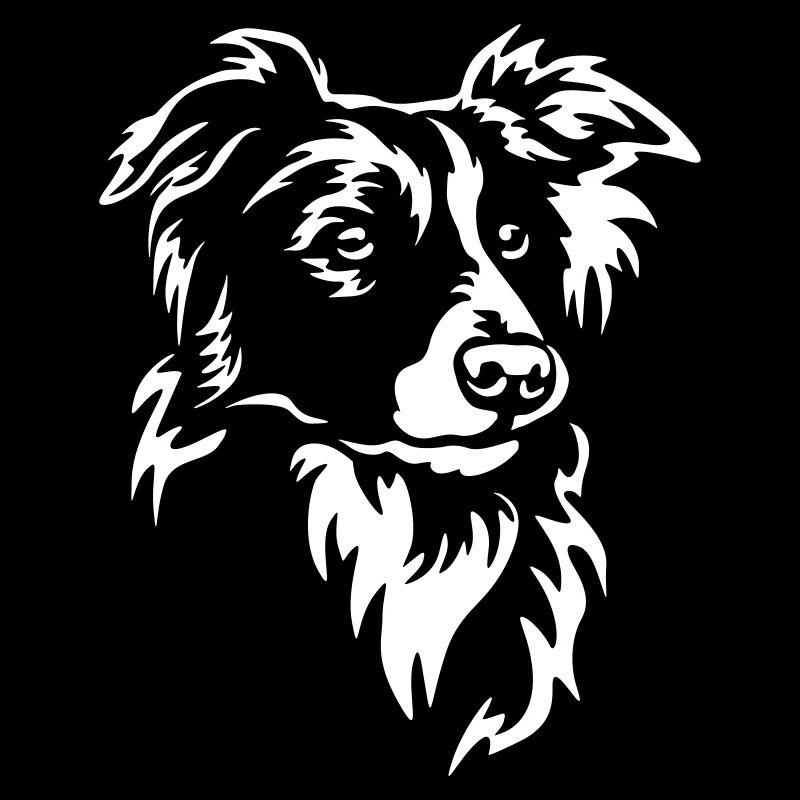Border Collie Kopf "Black Edition"